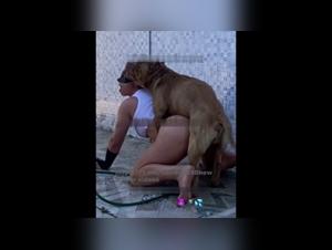 Unleash your darkest desires: hardcore animal sex