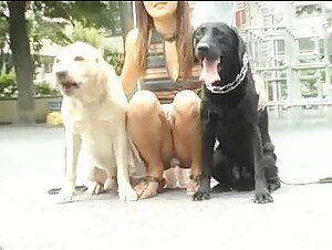 Sneaky Dog Cam