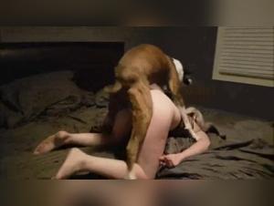 Animal Desire: Girls and Dogs X-rated Videos