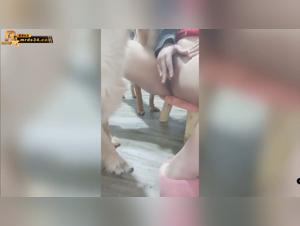 Caos Canino Chino: Bestial Orgy en el Zoológico