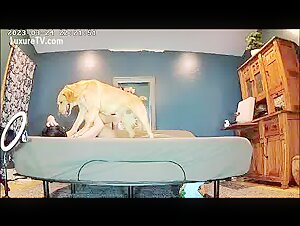 Sex Dog