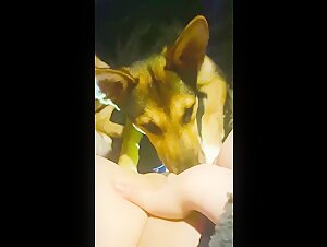 Frau von einem Hund verwohnt