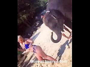 Elephant Bestiality Compilation: Zoophilia Sexfilme mit Tiers et Big Ass