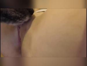 Delicias nocturnas: caza de sensaciones animales