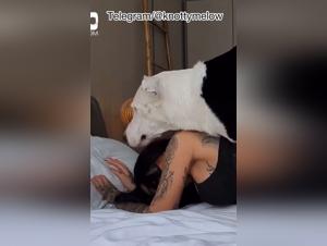 Ariana Grande Inspires: Dog Fucks Girl to "7 Rings" Theme