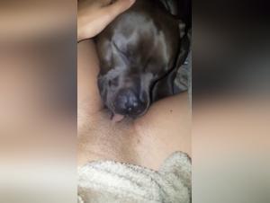 Animal Fuck: A Girl Enjoys a Delicious Lick from a Dog