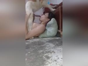 Delizie proibite: l'ardore grezzo della zoopilia