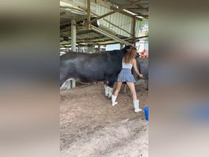 Extreme Zoophilia: Bestiality at the Heart of Debauchery