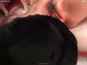 Fierte canine asiatique, XXX en gros plan
