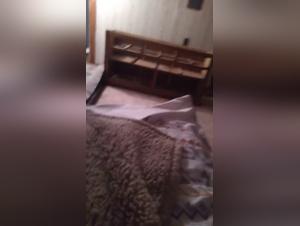 Bestial Delight: Incandescent Sexual Visions with Dogs