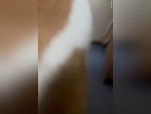 bestialité e-girl : plaisir sauvage interdit