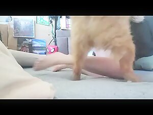 Donna si concede ad un cane (guarda il mio profilo)