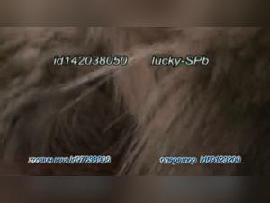 Première Folie Féline : L'exploration d'un désir interdit