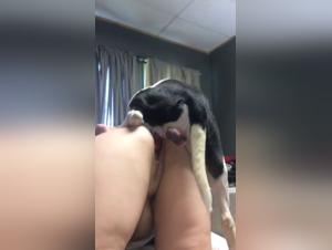 Delicias empresariales: animalidad en el corazon de la Debauchery