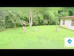 Alison - Compagno di immersioni canine