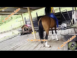 Erotische Animalitat, Dildo Beurette Beurette Schlampen, Zoophilie Tube Creampie Creampie