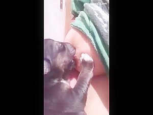 Allattamento al seno bestiale: un'esperienza estrema