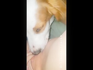 Woman and Dog: A Forbidden Meeting