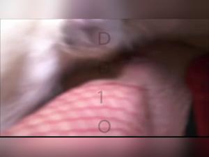 Unveil Bestial Desires: Women & Dogs in Action