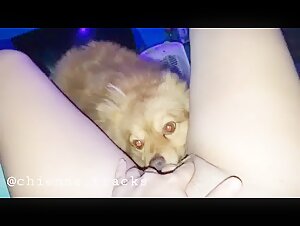 Woman and Dog: A Forbidden Meeting