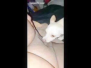 Momento intimo: hombre y perro