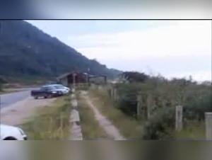 Unbridled Zoophilia: Wild Delices Archives