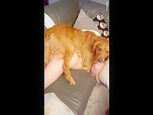 Comoda cagna: un'esperienza bestiale ed emozionante
