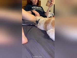 Redhead woman masturbating with a dog — zoo scene