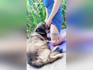 Dog devours the whore: Homemade hardcore
