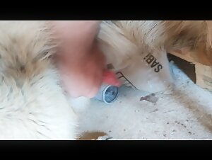 Take turns - Intimacy with a dog