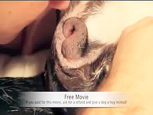 Man having sex with a female dog