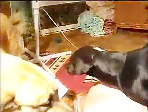 Milf Adicta no Cuzinho: A Story of Exciting Bestiality