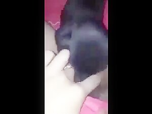 Femme et Chien: Une Rencontre Interdite
