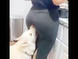 Lick: A beastly and intense encounter