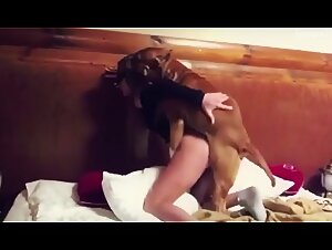 blonde poodle fuck