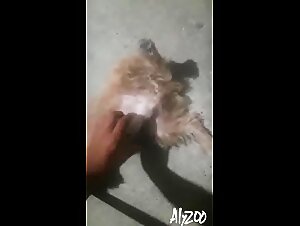 Adolescente arrapata di 18 anni 2