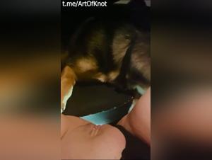 Doggy delight on a jumbo pussy