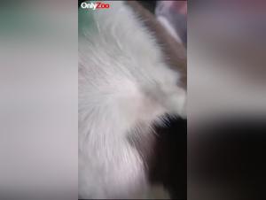 Canine Domination: A Single Mom Reveals Her Desire for the Dog