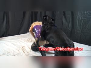 Bitchy Bites: Blonde Embraces Bestial Pleasure