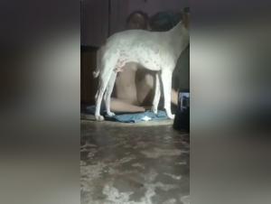 Doggy Style Delight:  Hot Babe, Home Fun, No Holds Barred