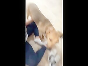 Teenage girl in ecstasy with her dog