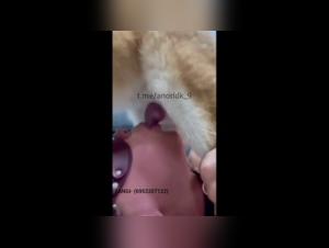 Zoophilie Brutale : Le Chien Dominant