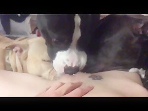 Momento intimo: mujer y perro