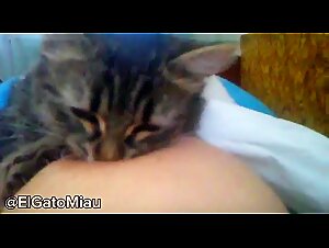 Il felino sensuale: delizie zoofile estreme