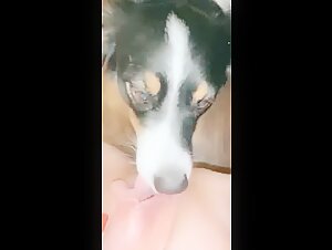 Woman and Dog: A Forbidden Meeting