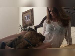 Animal delights: The Milf submits to the dog