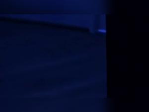 Zoophilia Extreme: Canine Domination