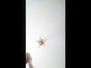 Weisse Frau und Hund Teil.4