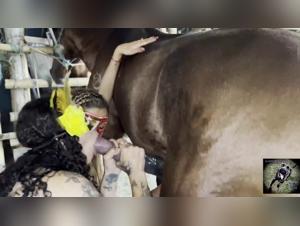 Pornozoofilie: troie di cani femmine e troie arabe che scopano cavalli