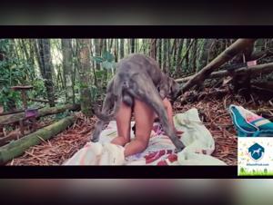 Indecent Zoophilia: The Dog Dominates the Woman